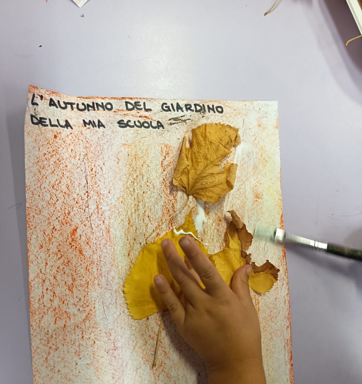 L'autunno del giardino della mia scuola